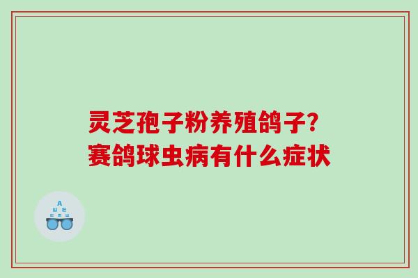 灵芝孢子粉养殖鸽子？赛鸽球虫病有什么症状