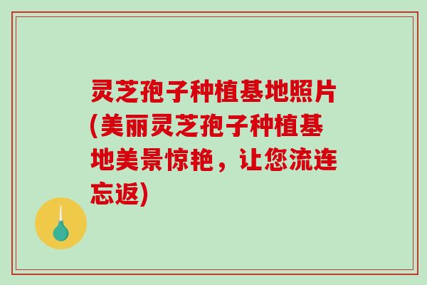 灵芝孢子种植基地照片(美丽灵芝孢子种植基地美景惊艳，让您流连忘返)