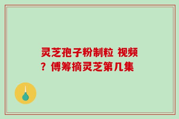 灵芝孢子粉制粒 视频？傅筹摘灵芝第几集