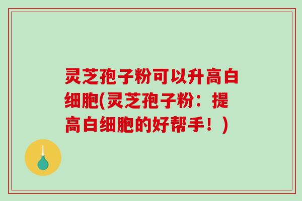 灵芝孢子粉可以升高白细胞(灵芝孢子粉：提高白细胞的好帮手！)