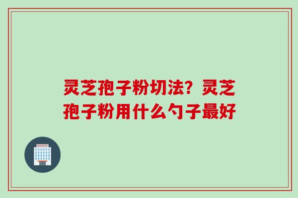 灵芝孢子粉切法？灵芝孢子粉用什么勺子最好