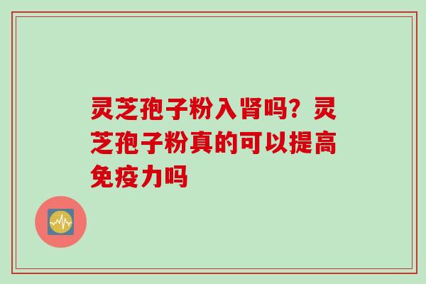 灵芝孢子粉入肾吗？灵芝孢子粉真的可以提高免疫力吗