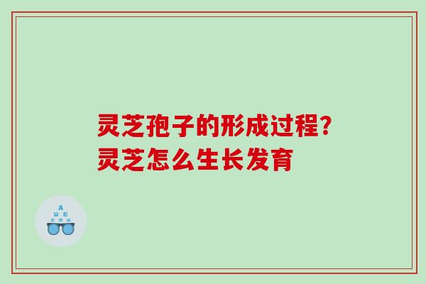 灵芝孢子的形成过程？灵芝怎么生长发育