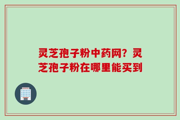 灵芝孢子粉中药网？灵芝孢子粉在哪里能买到
