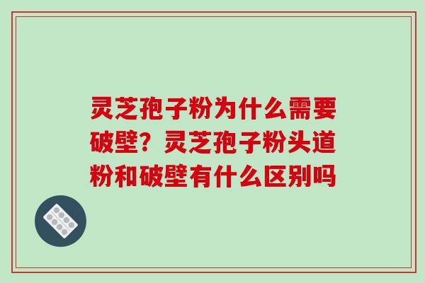 灵芝孢子粉为什么需要破壁？灵芝孢子粉头道粉和破壁有什么区别吗