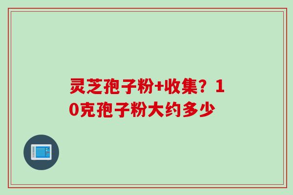 灵芝孢子粉+收集？10克孢子粉大约多少