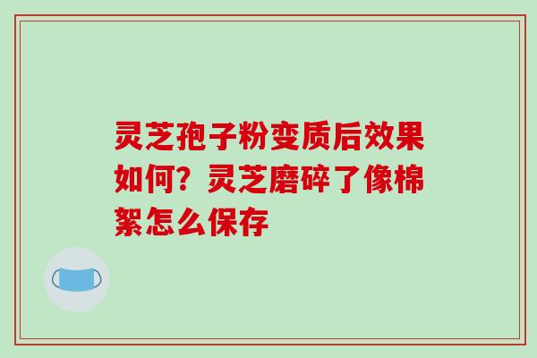灵芝孢子粉变质后效果如何？灵芝磨碎了像棉絮怎么保存