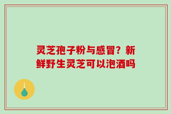 灵芝孢子粉与感冒？新鲜野生灵芝可以泡酒吗
