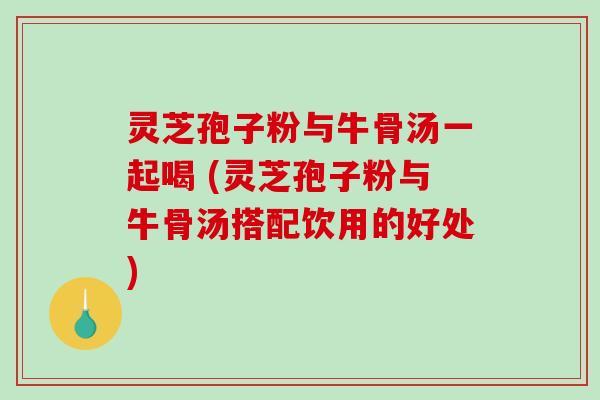 灵芝孢子粉与牛骨汤一起喝 (灵芝孢子粉与牛骨汤搭配饮用的好处)