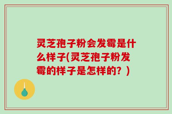 灵芝孢子粉会发霉是什么样子(灵芝孢子粉发霉的样子是怎样的？)