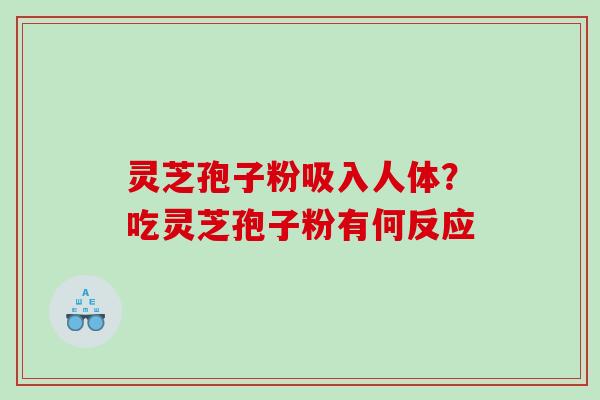 灵芝孢子粉吸入人体？吃灵芝孢子粉有何反应