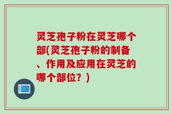 灵芝孢子粉在灵芝哪个部(灵芝孢子粉的制备、作用及应用在灵芝的哪个部位？)