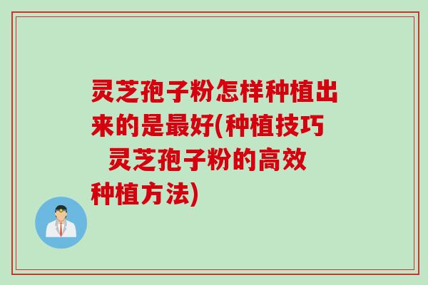 灵芝孢子粉怎样种植出来的是最好(种植技巧  灵芝孢子粉的高效种植方法)