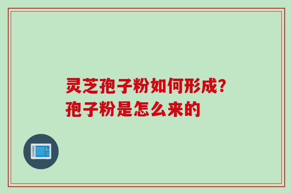 灵芝孢子粉如何形成？孢子粉是怎么来的