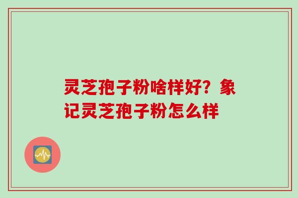 灵芝孢子粉啥样好？象记灵芝孢子粉怎么样
