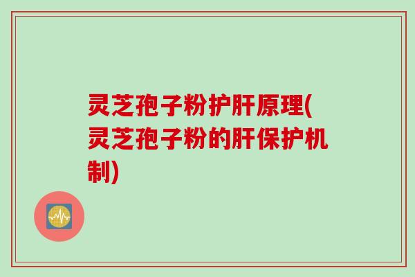 灵芝孢子粉护肝原理(灵芝孢子粉的肝保护机制)