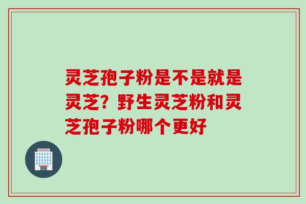 灵芝孢子粉是不是就是灵芝？野生灵芝粉和灵芝孢子粉哪个更好