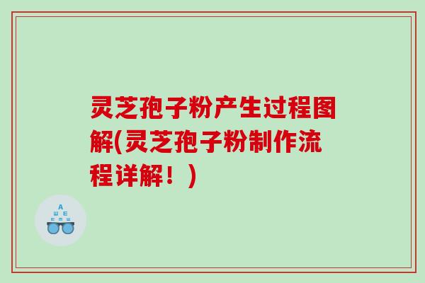 灵芝孢子粉产生过程图解(灵芝孢子粉制作流程详解！)