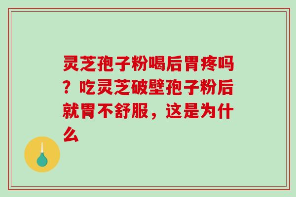 灵芝孢子粉喝后胃疼吗？吃灵芝破壁孢子粉后就胃不舒服，这是为什么