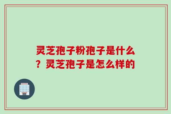 灵芝孢子粉孢子是什么？灵芝孢子是怎么样的