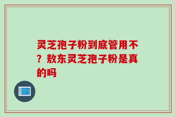 灵芝孢子粉到底管用不？敖东灵芝孢子粉是真的吗