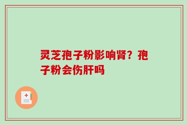 灵芝孢子粉影响肾？孢子粉会伤肝吗