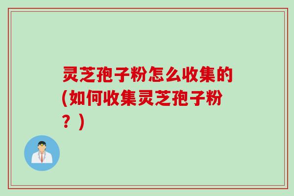 灵芝孢子粉怎么收集的(如何收集灵芝孢子粉？)
