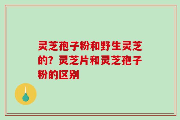 灵芝孢子粉和野生灵芝的？灵芝片和灵芝孢子粉的区别