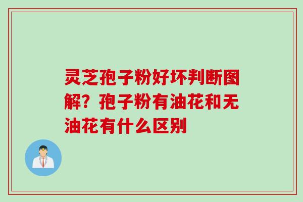 灵芝孢子粉好坏判断图解？孢子粉有油花和无油花有什么区别