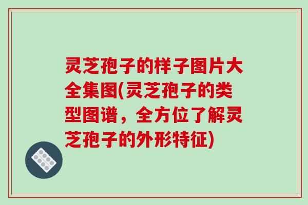 灵芝孢子的样子图片大全集图(灵芝孢子的类型图谱,全方位了解灵芝孢子的外形特征) 灵芝孢子的样子图片大全集图(灵芝孢子的类型图谱,全方位了解灵芝孢子的外形特征)