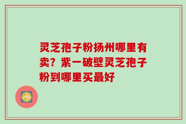灵芝孢子粉扬州哪里有卖？紫一破壁灵芝孢子粉到哪里买最好