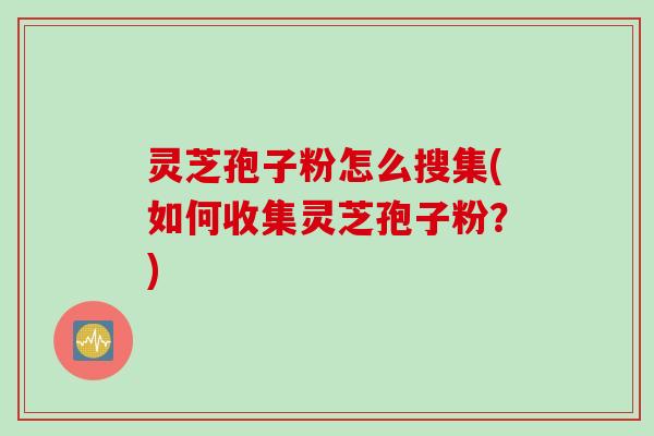 灵芝孢子粉怎么搜集(如何收集灵芝孢子粉？)