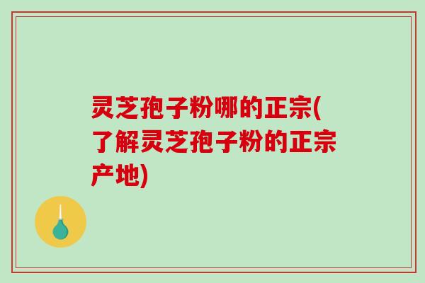 灵芝孢子粉哪的正宗(了解灵芝孢子粉的正宗产地)