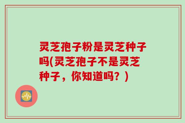 灵芝孢子粉是灵芝种子吗(灵芝孢子不是灵芝种子，你知道吗？)