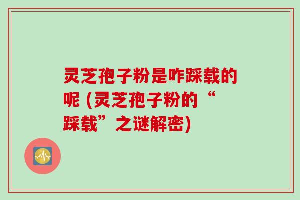 灵芝孢子粉是咋踩载的呢 (灵芝孢子粉的“踩载”之谜解密)