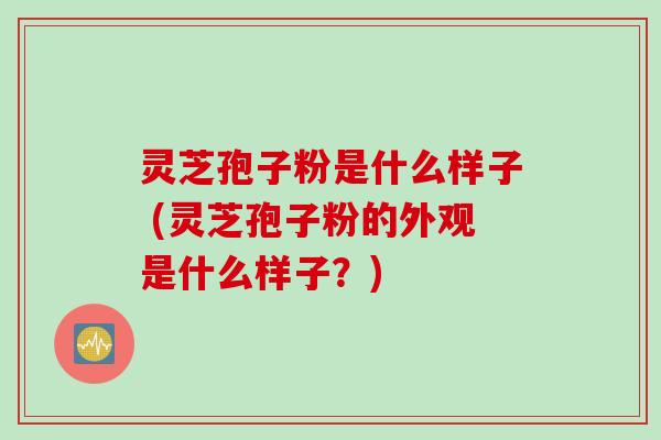 灵芝孢子粉是什么样子 (灵芝孢子粉的外观是什么样子？)