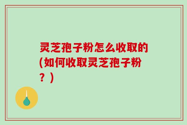 灵芝孢子粉怎么收取的(如何收取灵芝孢子粉？)