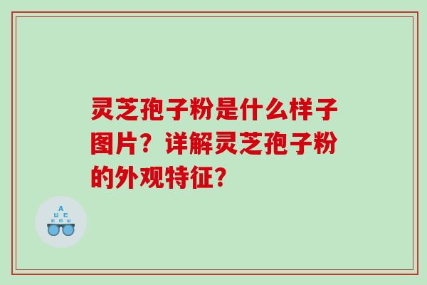 灵芝孢子粉是什么样子图片？详解灵芝孢子粉的外观特征？