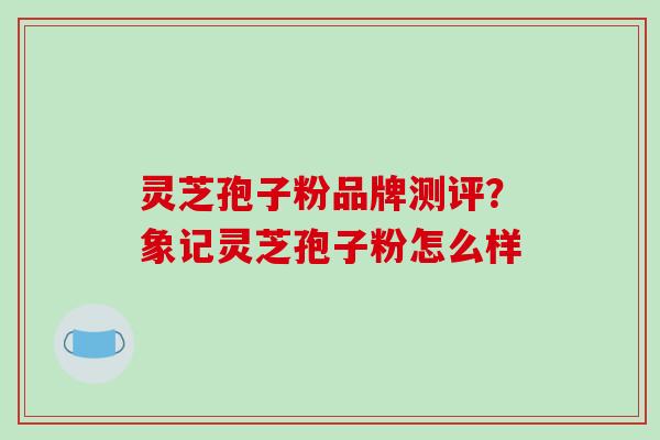 灵芝孢子粉品牌测评？象记灵芝孢子粉怎么样