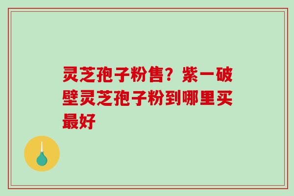 灵芝孢子粉售？紫一破壁灵芝孢子粉到哪里买最好