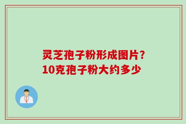 灵芝孢子粉形成图片？10克孢子粉大约多少