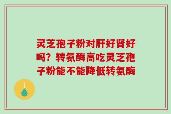灵芝孢子粉对肝好肾好吗？转氨酶高吃灵芝孢子粉能不能降低转氨酶