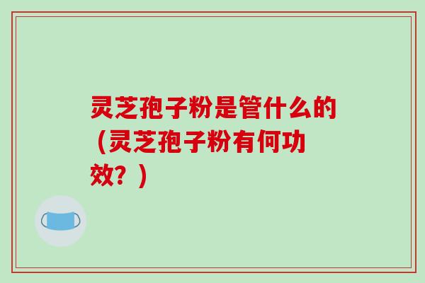 灵芝孢子粉是管什么的 (灵芝孢子粉有何功效？)