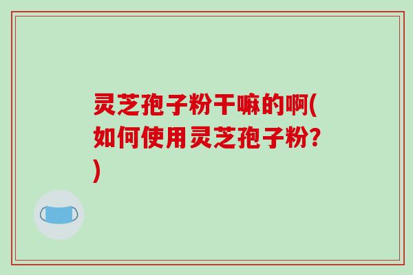 灵芝孢子粉干嘛的啊(如何使用灵芝孢子粉？)