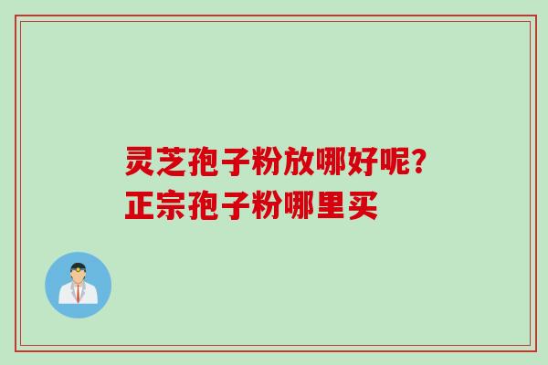 灵芝孢子粉放哪好呢？正宗孢子粉哪里买
