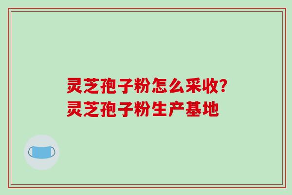 灵芝孢子粉怎么采收?灵芝孢子粉生产基地 灵芝孢子粉怎么采收?灵芝孢子粉生产基地