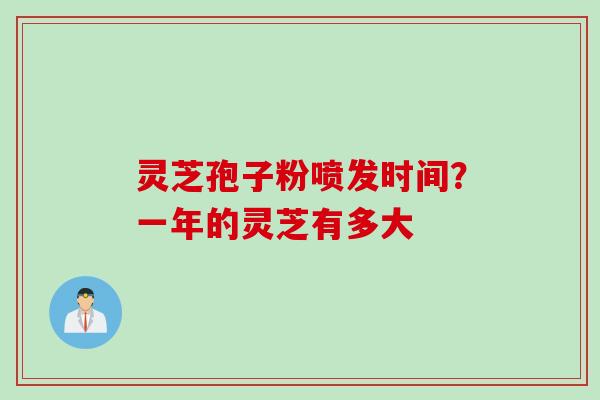 灵芝孢子粉喷发时间？一年的灵芝有多大