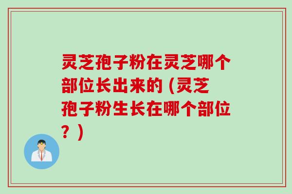 灵芝孢子粉在灵芝哪个部位长出来的 (灵芝孢子粉生长在哪个部位？)