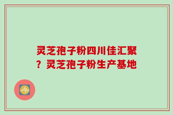 灵芝孢子粉四川佳汇聚？灵芝孢子粉生产基地