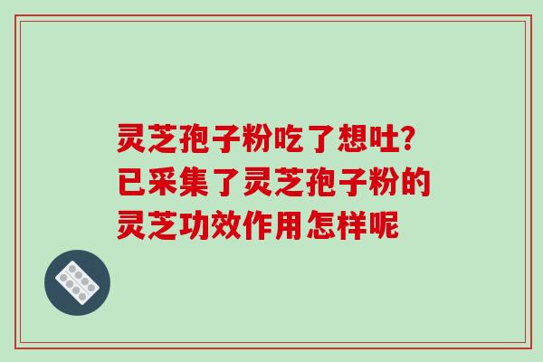 灵芝孢子粉吃了想吐？已采集了灵芝孢子粉的灵芝功效作用怎样呢